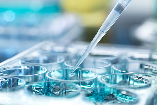 Global Obesity Crisis: Key Facts and WHO Responses